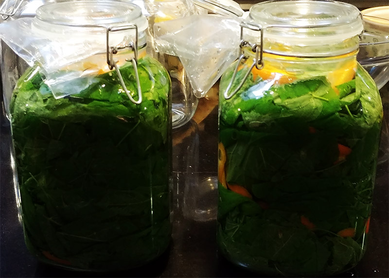 Lindenblätter eingelegt Meyers Keller Jockl Kaiser Koch