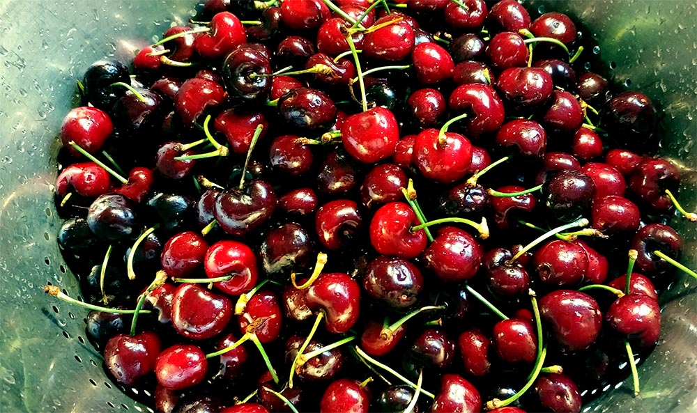 Kirschen gesalzen Meyers Keller Sternerestaurant