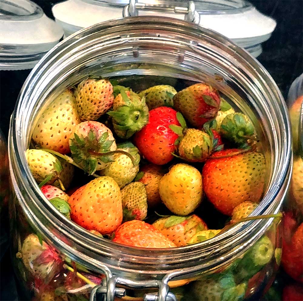 Gruene Erdbeeren im Einmachglas im Sterne-Restaurant Meyers Keller