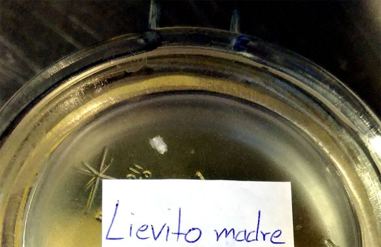 Lievito Madre selber machen Jockl Kaiser Restaurant Meyers Keller