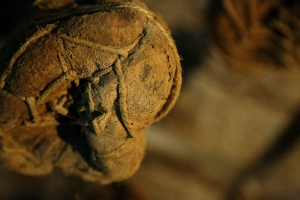 Rieser Culatello am Stück